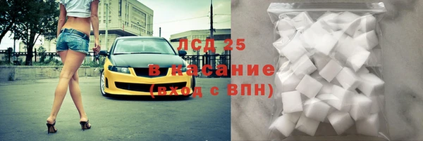 СК Дмитров