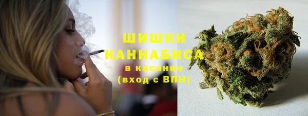 стаф Кострома