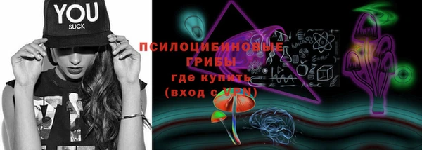 метадон Горнозаводск
