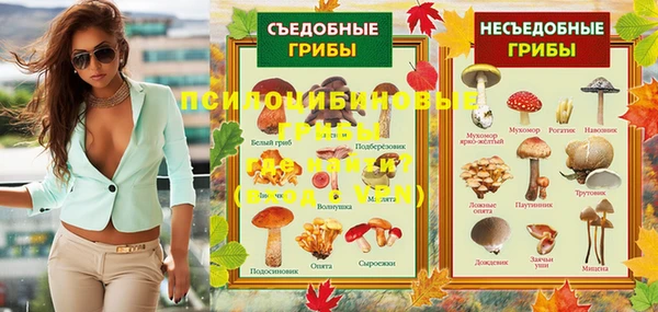 мескалин Гусиноозёрск