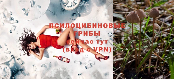 меф Гусев