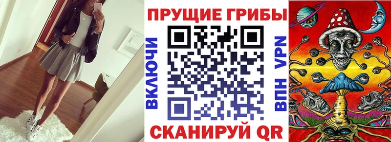 ссылка на мегу онион  Колпашево  Псилоцибиновые грибы Cubensis 