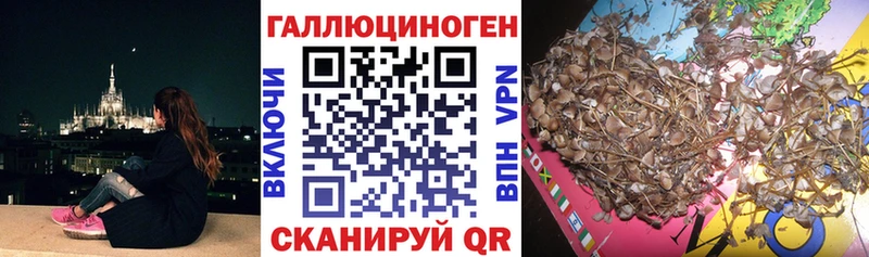 Псилоцибиновые грибы мицелий Колпашево